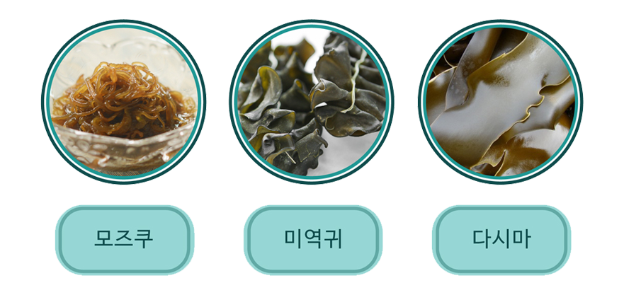 후코이단 개요 이미지