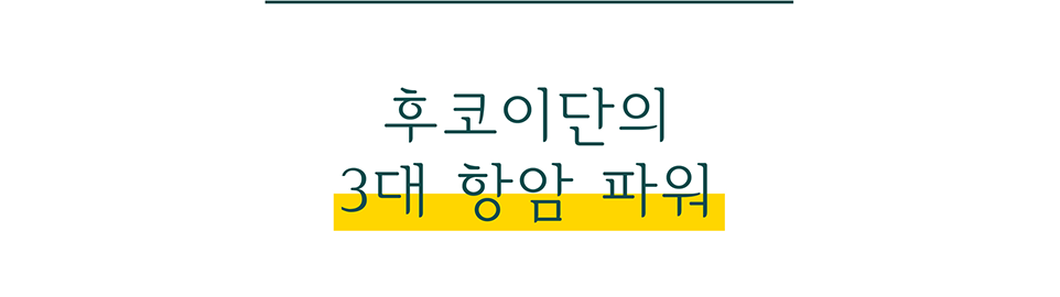 3대 항암 파워 타이틀